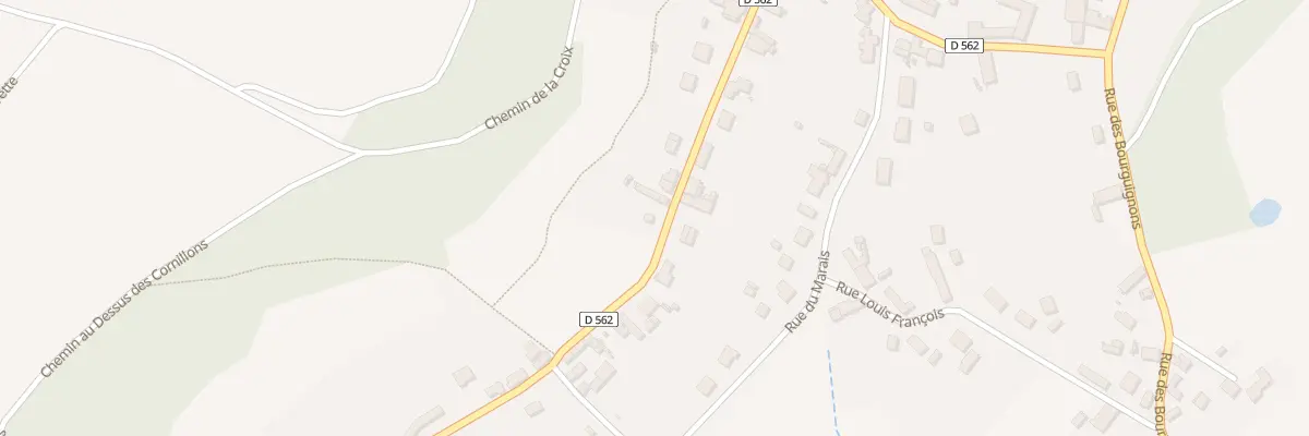 Plan du 20 Rue Madame d’Orléans à Selens