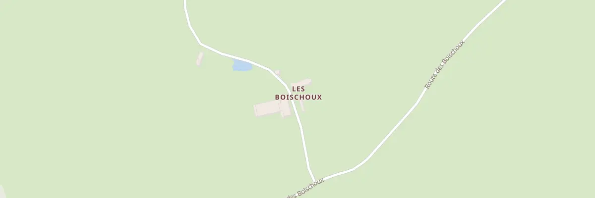 Plan du 5130 Les Boischoux à Coulandon