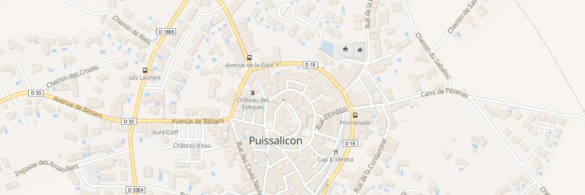 Plan du 14 Rue de la Barbacane à Puissalicon
