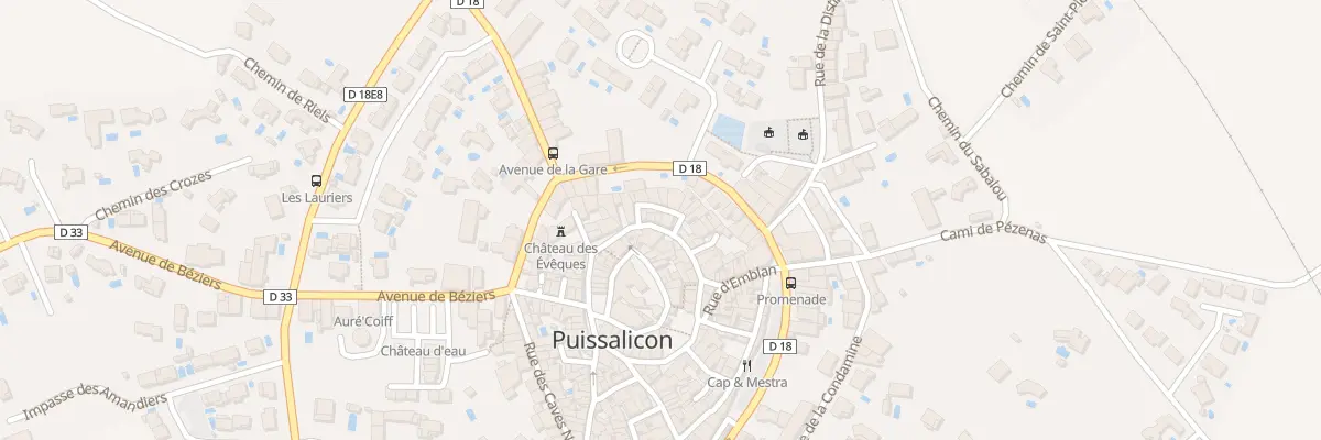 Plan du 21 Rue de la Barbacane à Puissalicon
