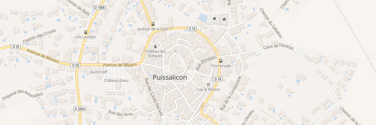 Plan du 6 Rue du Chateau à Puissalicon