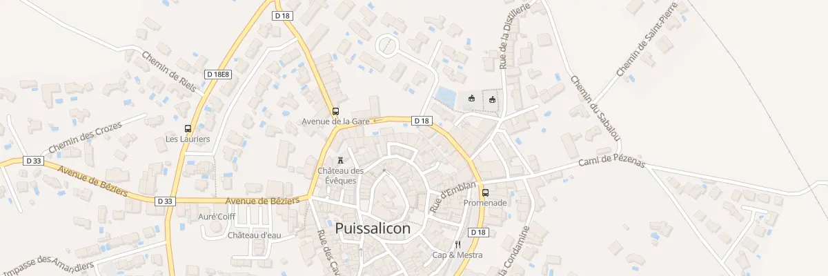 Plan du 7 Rue de l’Hopital à Puissalicon