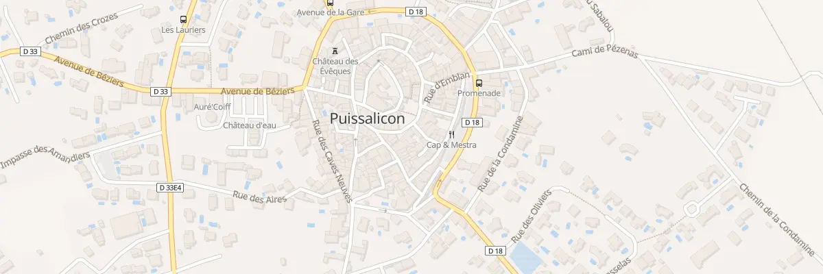 Plan du 10 Rue de la Placette à Puissalicon
