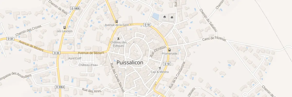 Plan du 22 Rue de la Barbacane à Puissalicon