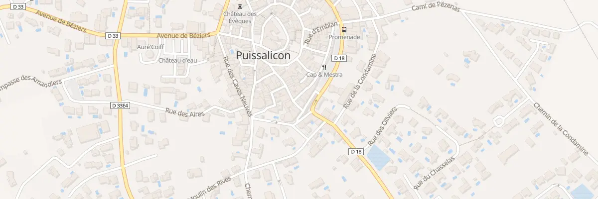 Plan du 4 Rue de l’Espinasse à Puissalicon
