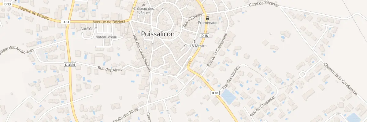 Plan du 6 Rue de l’Espinasse à Puissalicon