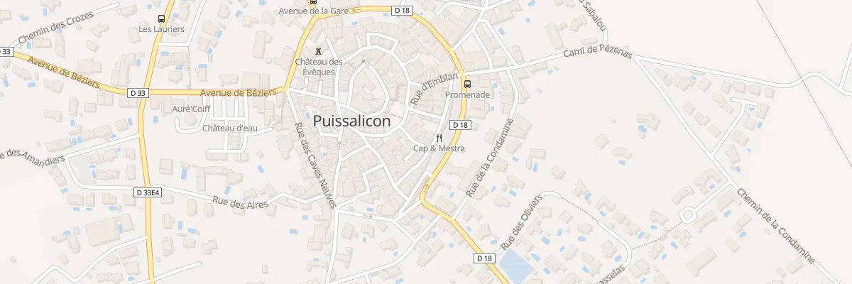 Plan du 9 Rue de la Breche à Puissalicon