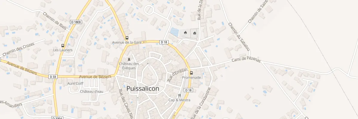 Plan du 272 Rue Cave des Consuls à Puissalicon