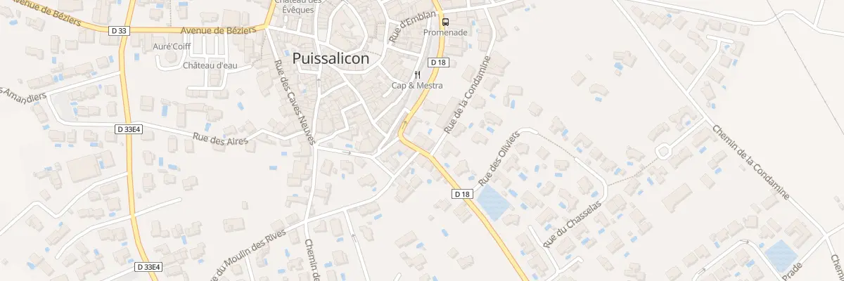 Plan du 23 Rte d’Espondeilhan à Puissalicon