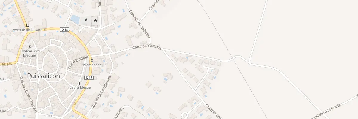 Plan du 23 Che de la Condamine à Puissalicon