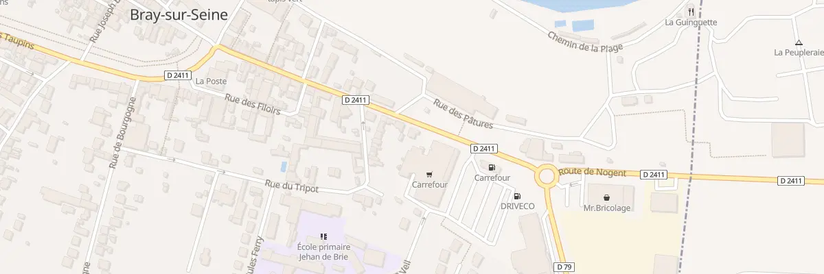 Plan du 313 Rte de Nogent à Bray-sur-Seine