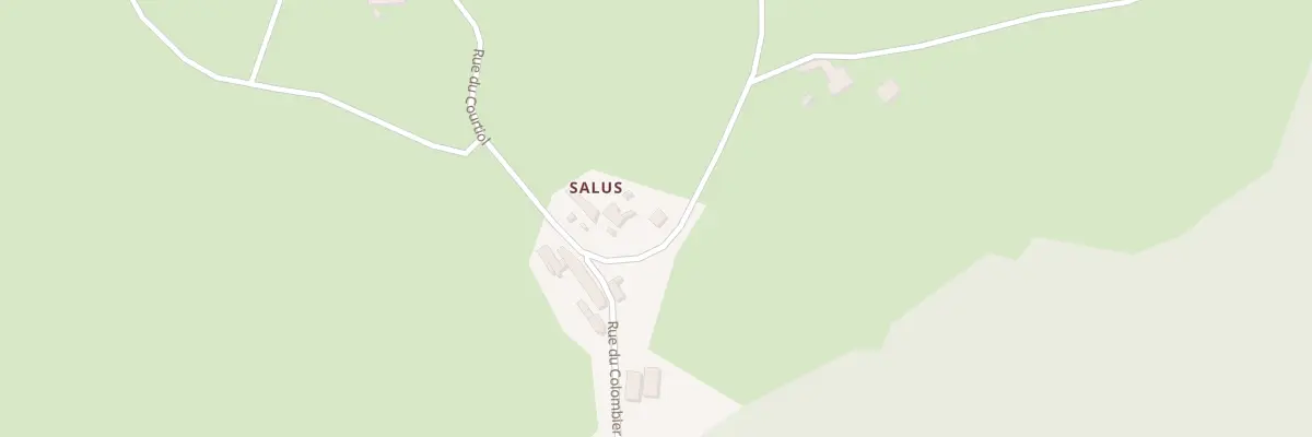 Plan du 6038 Salus à Ruynes-en-Margeride