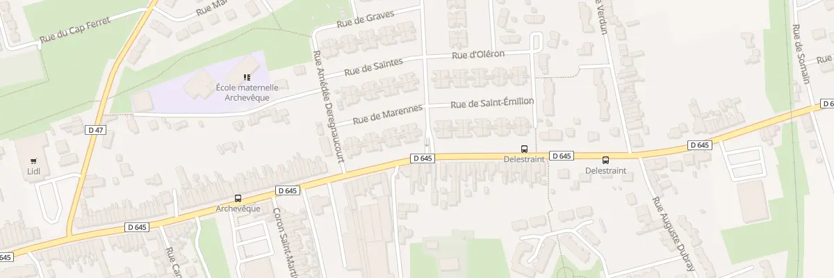 Plan du 169 Rue du General Delestraint à Aniche