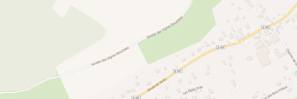 Plan du 54 Rue de la Porte du Tau à Saint-Julien-du-Sault