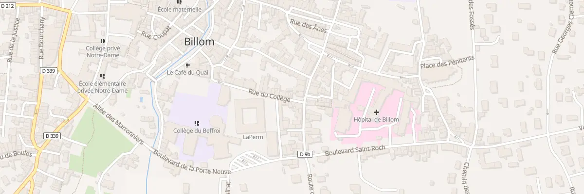 Plan du 21 Rue du Collège à Billom