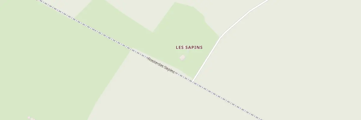 Plan du 5206 Locaterie des Sapins à Saint-Didier-la-Forêt