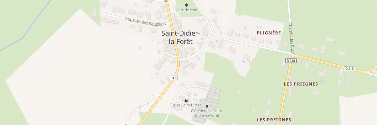 Plan du 2 Rue de Plignieres à Saint-Didier-la-Forêt