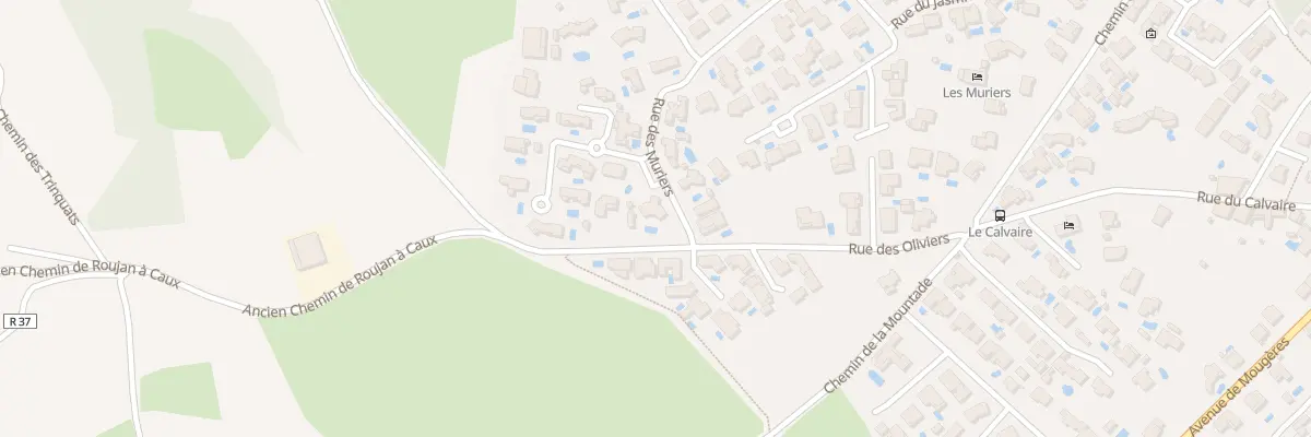 Plan du 1 Rue des Muriers à Caux