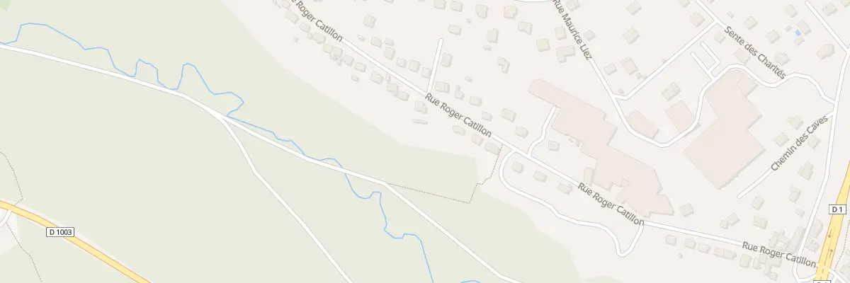 Plan du 48 Rue Roger Catillon à Château-Thierry