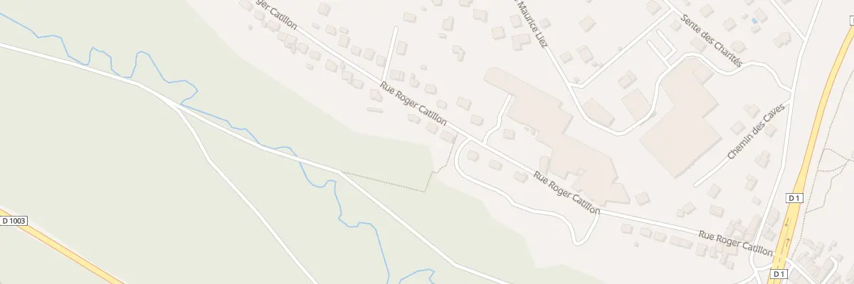 Plan du 40 Rue Roger Catillon à Château-Thierry