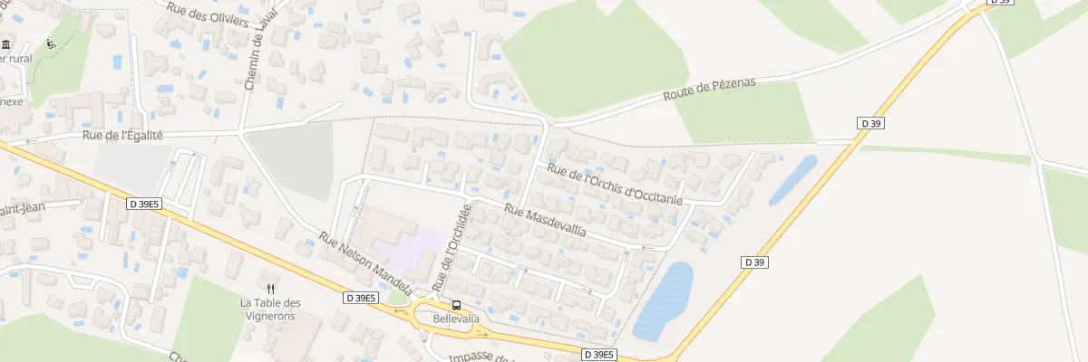 Plan du 1 Rue de l’Orchis d’Occitanie à Tourbes