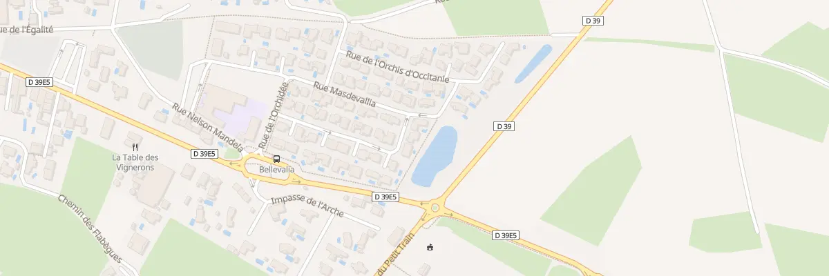 Plan du 35 Rue de l’Orchis Papillon à Tourbes