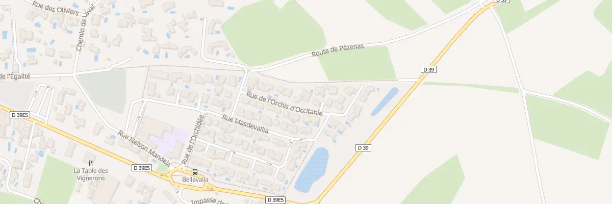 Plan du 14 Rue de l’Orchis d’Occitanie à Tourbes