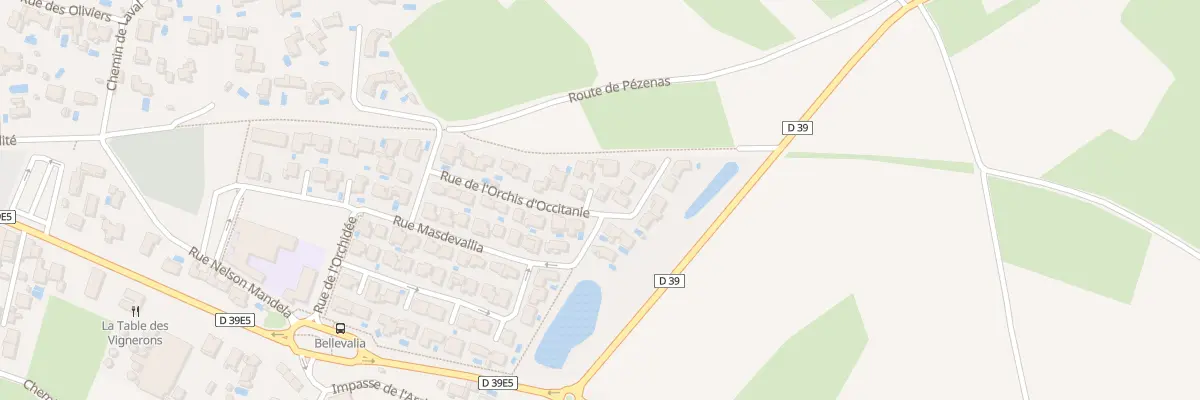 Plan du 22 Rue de l’Orchis d’Occitanie à Tourbes