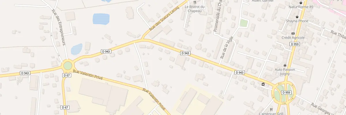 Plan du 31 Rue Aristide Briand à Joigny
