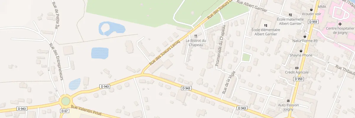 Plan du 3 Rue des Soeurs Lecoq à Joigny