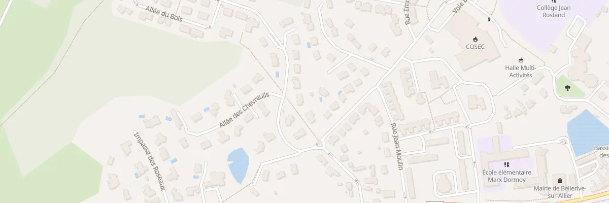 Plan du 8 Rue des Aulnes à Bellerive-sur-Allier