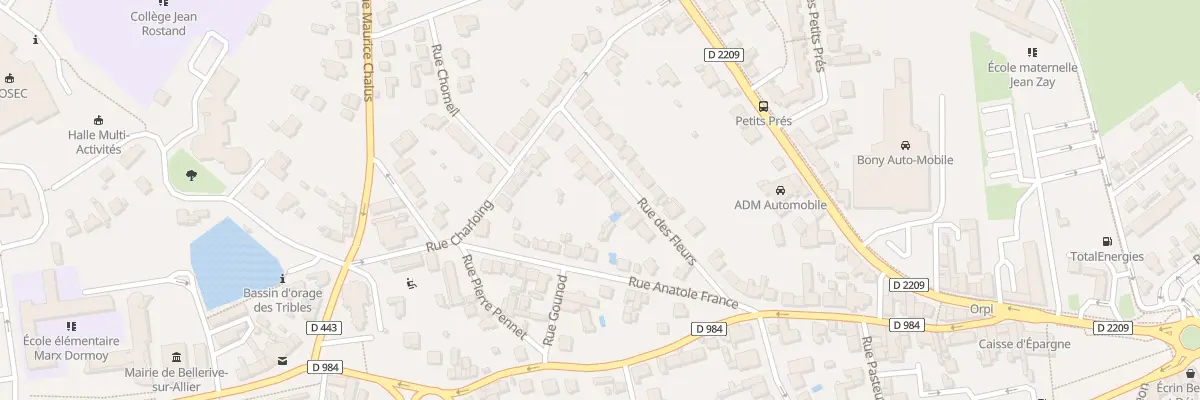 Plan du 11 Rue des Fleurs à Bellerive-sur-Allier