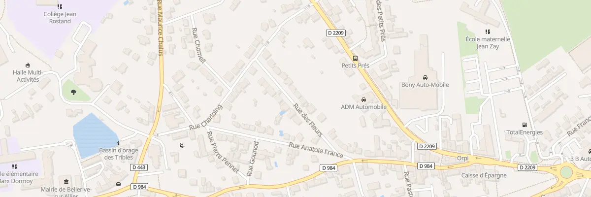 Plan du 16 Rue des Fleurs à Bellerive-sur-Allier