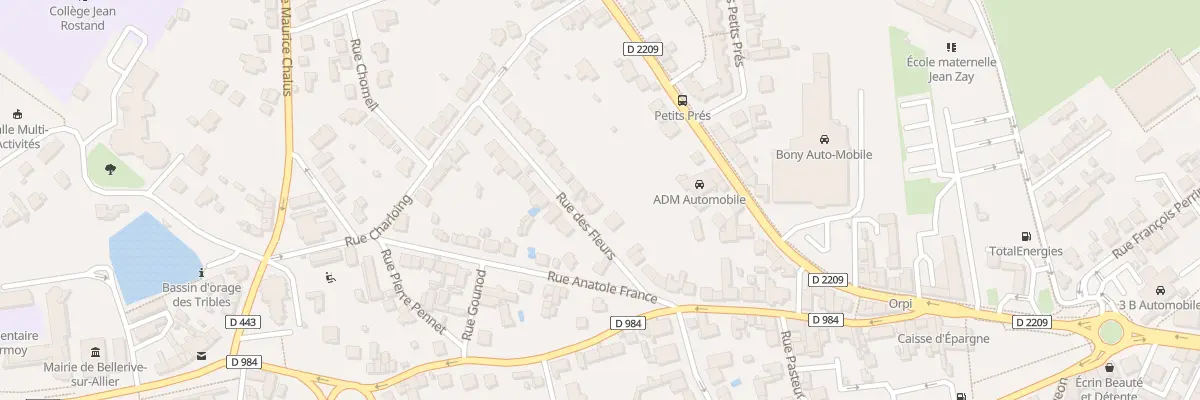 Plan du 12 Rue des Fleurs à Bellerive-sur-Allier