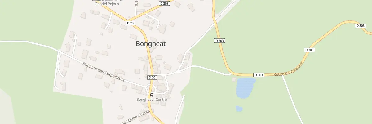 Plan du 5025 Bourg de Bongheat à Bongheat