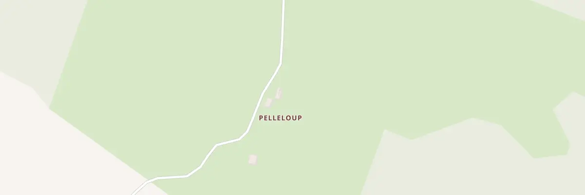 Plan du 5198 Pelleloup à Orléat