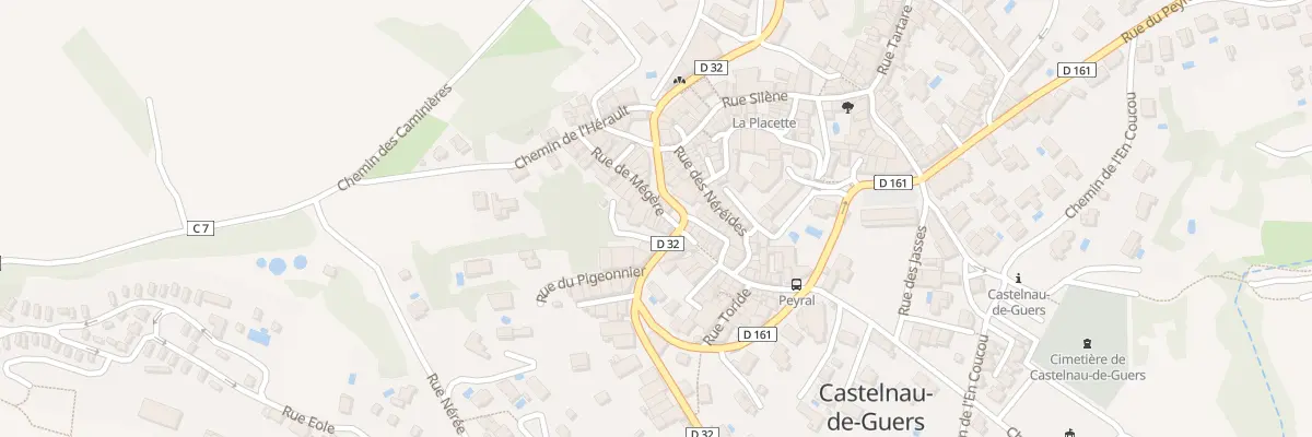 Plan du 20 Rue de Megere à Castelnau-de-Guers