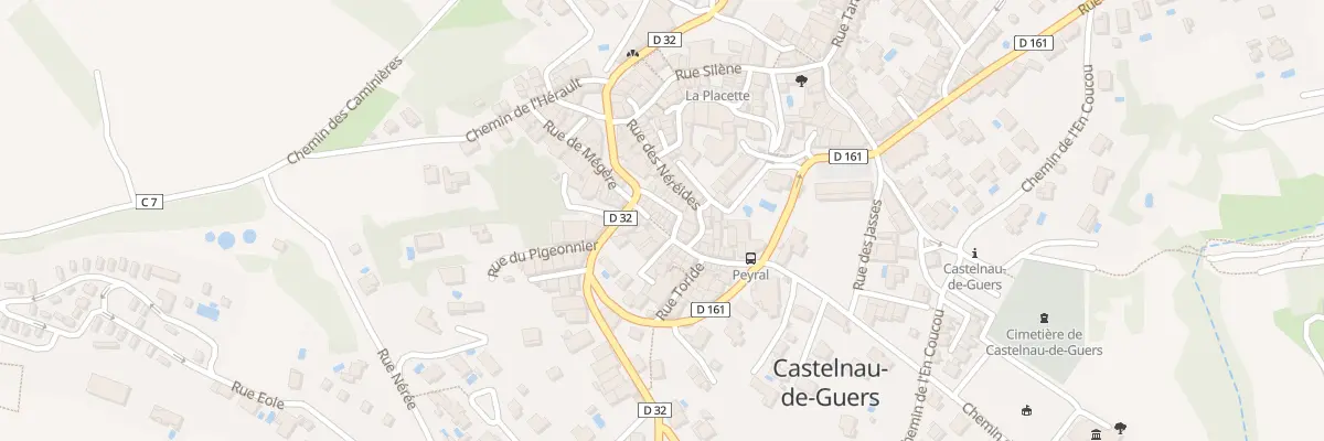 Plan du 9 Rue de Teral à Castelnau-de-Guers