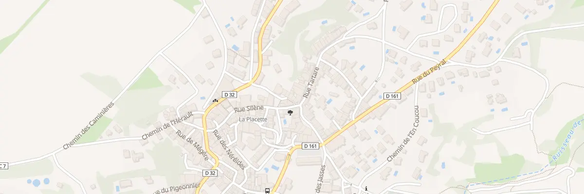 Plan du 6 Rue de la Plaine à Castelnau-de-Guers