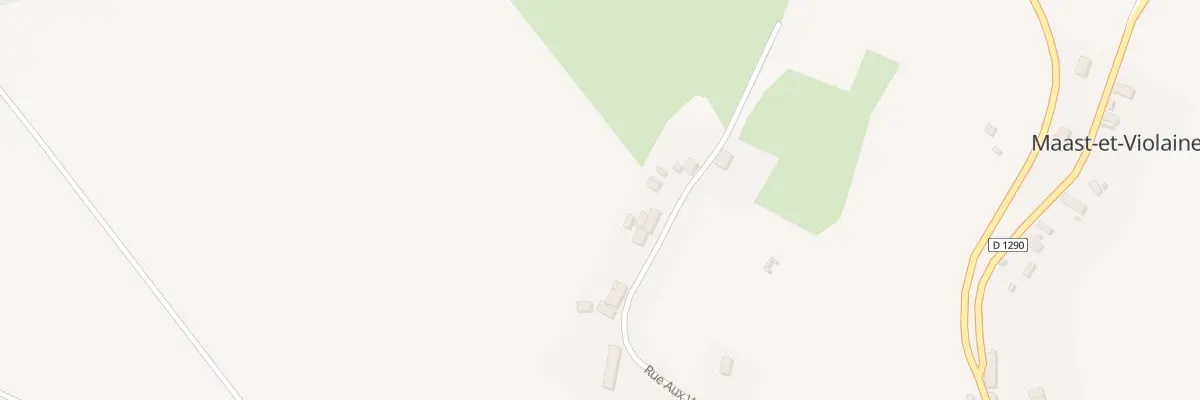 Plan du 21 Rue aux Vaches à Maast-et-Violaine