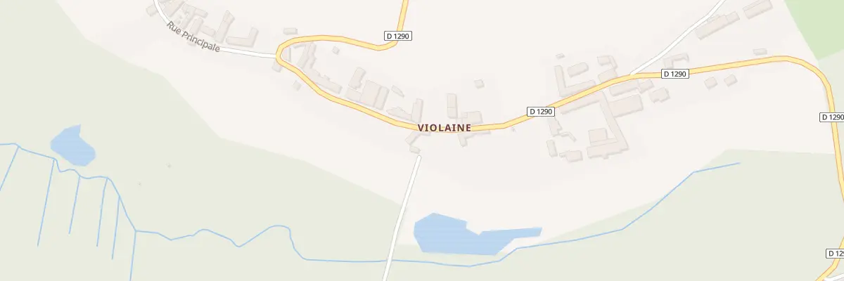 Plan du 11 Rue Principale à Maast-et-Violaine