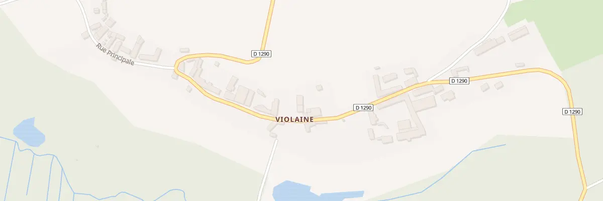 Plan du 8 Rue Principale à Maast-et-Violaine
