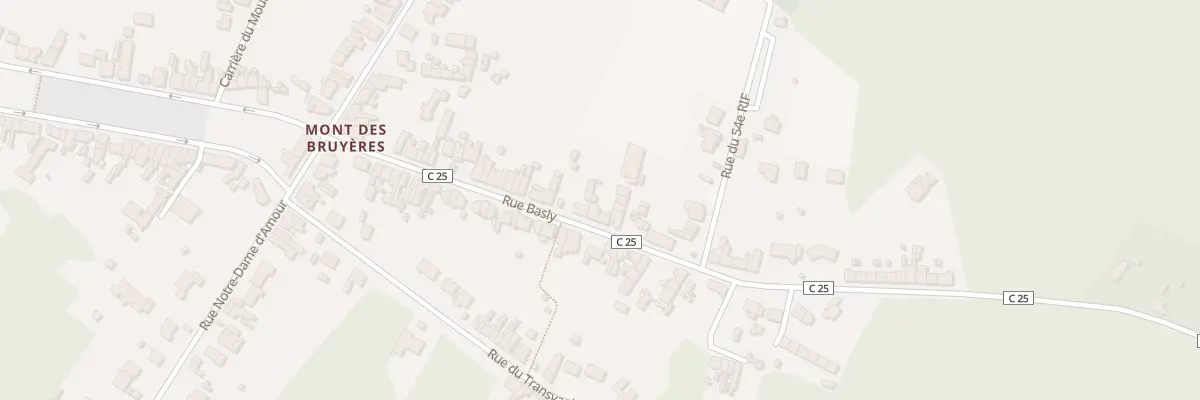 Plan du 207 Rue Basly à Saint-Amand-les-Eaux