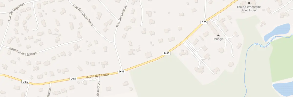 Plan du 113 Rte de Lezoux à Orléat