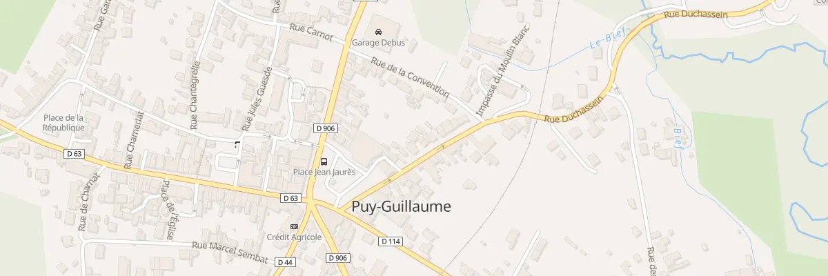 Plan du 9 Rue Duchassein à Puy-Guillaume