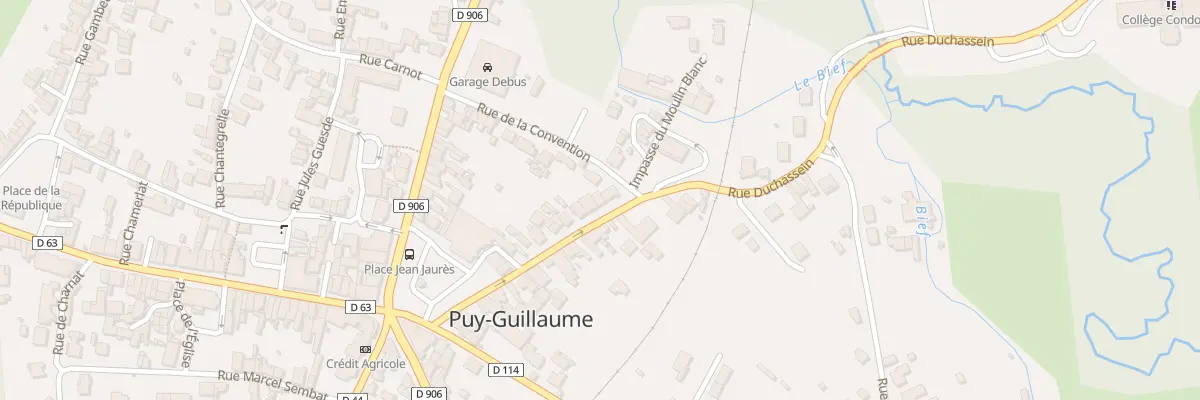 Plan du 21 Rue Duchassein à Puy-Guillaume