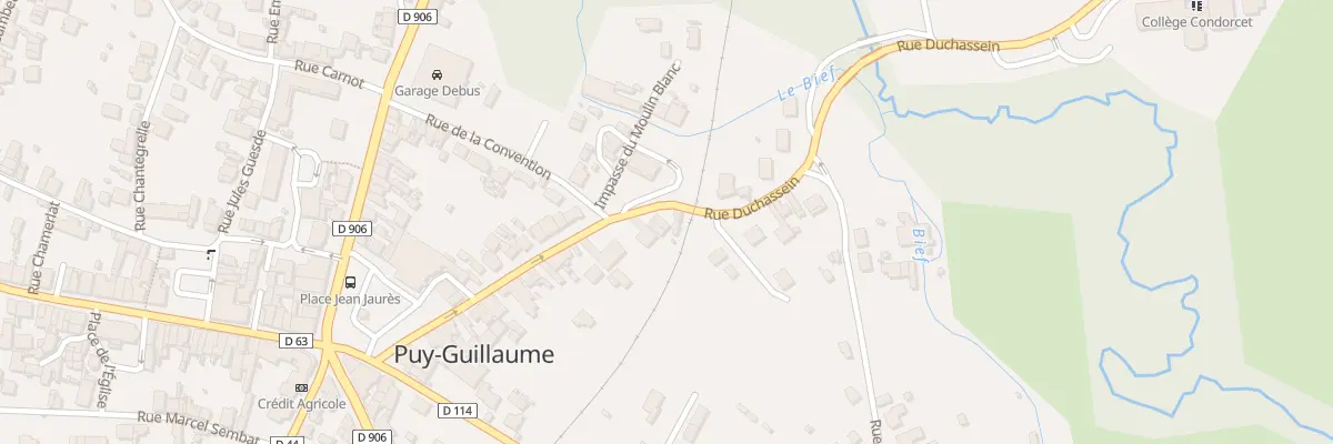 Plan du 36 Rue Duchassein à Puy-Guillaume