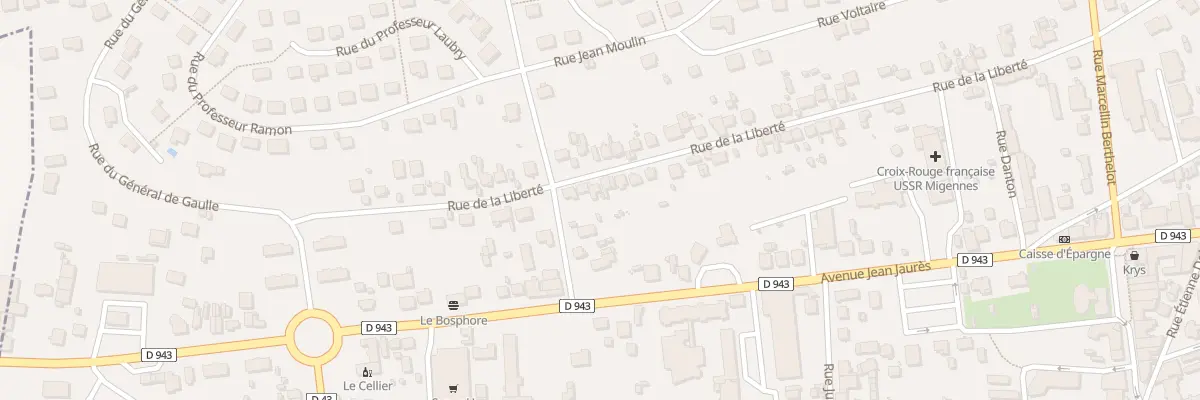 Plan du 79 Rue de la Liberté à Migennes