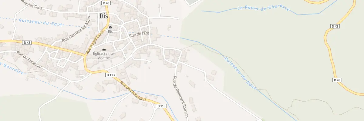 Plan du 1 Rue du Saut du Loup à Ris