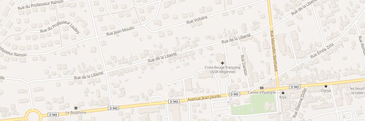 Plan du 53 Rue de la Liberté à Migennes